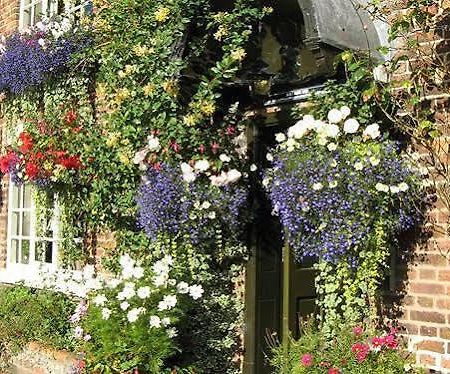 The Alvanley Arms - Inn Cotebrook 外观 照片